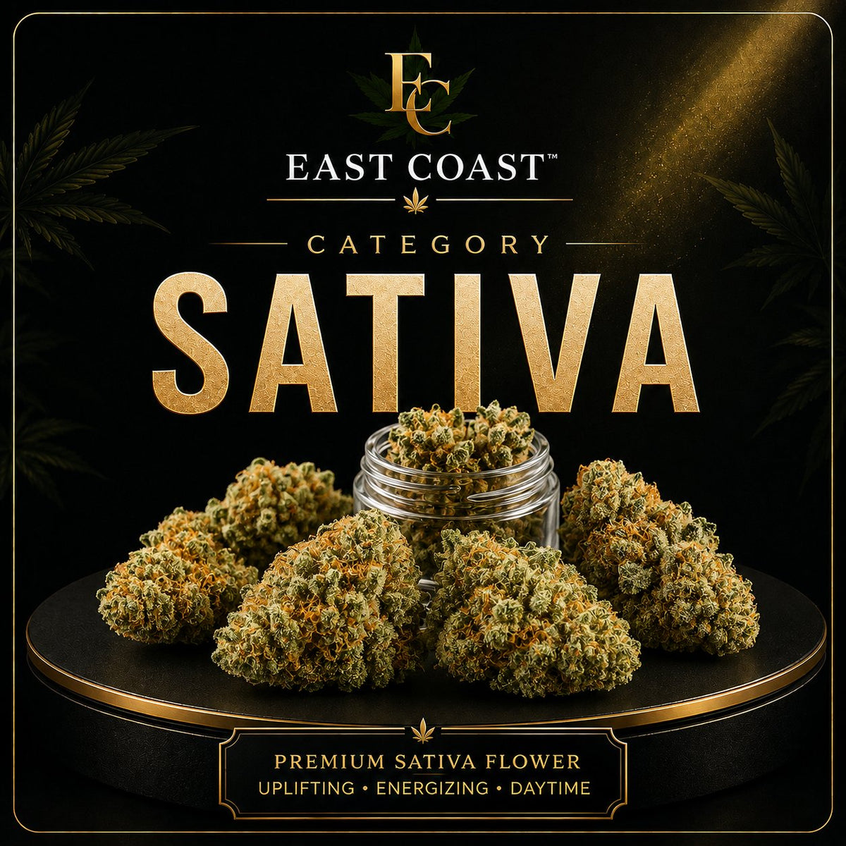 Sativa