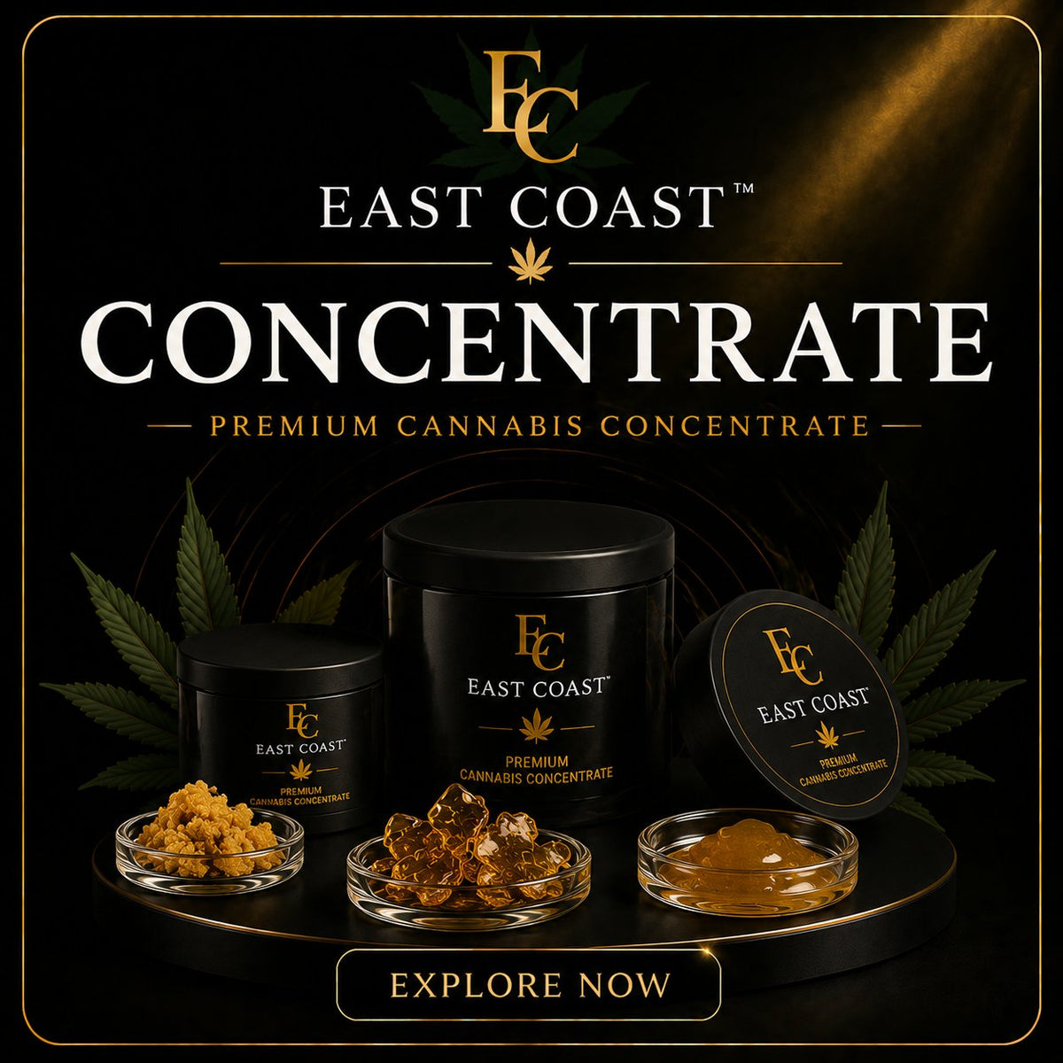 Concentrate
