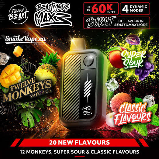 FLAVOUR BEAST MAX 3 60K VAPE