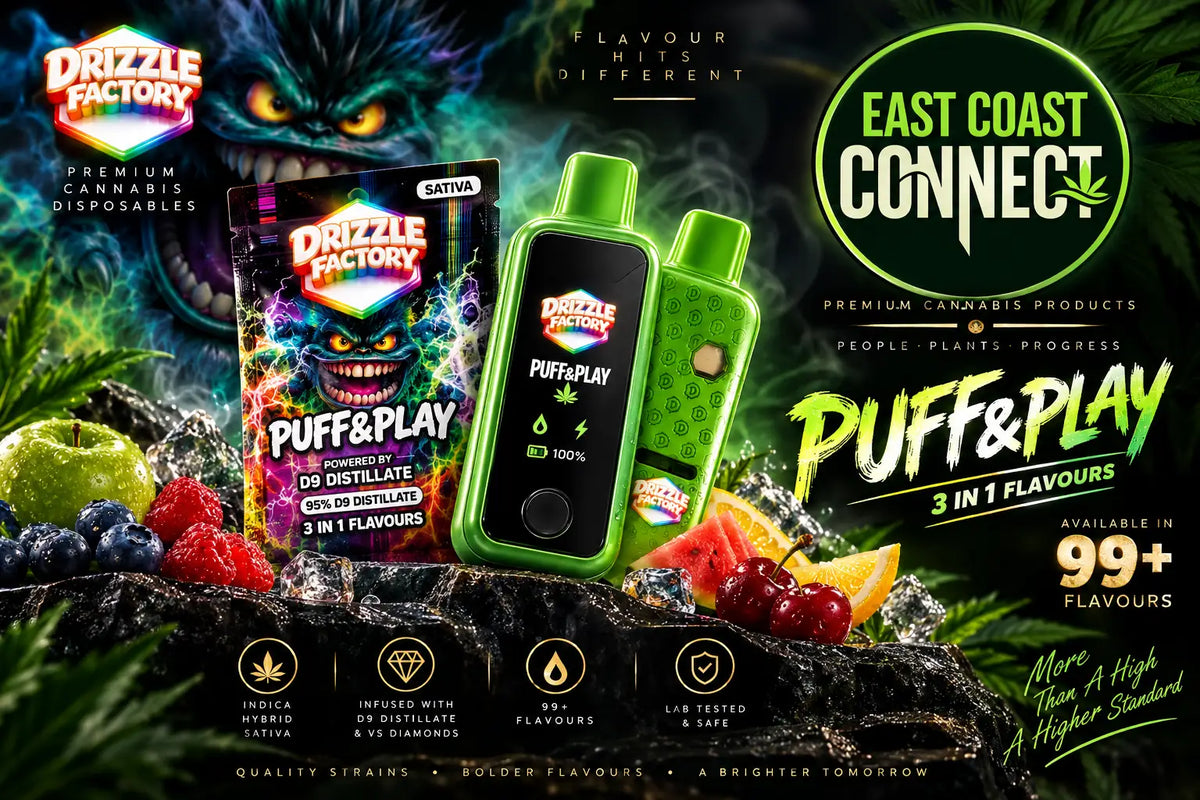 Drizzle Factory  6G Puff & Play 3-in-1 THC Disposable Vape – 95% D9 Distillate