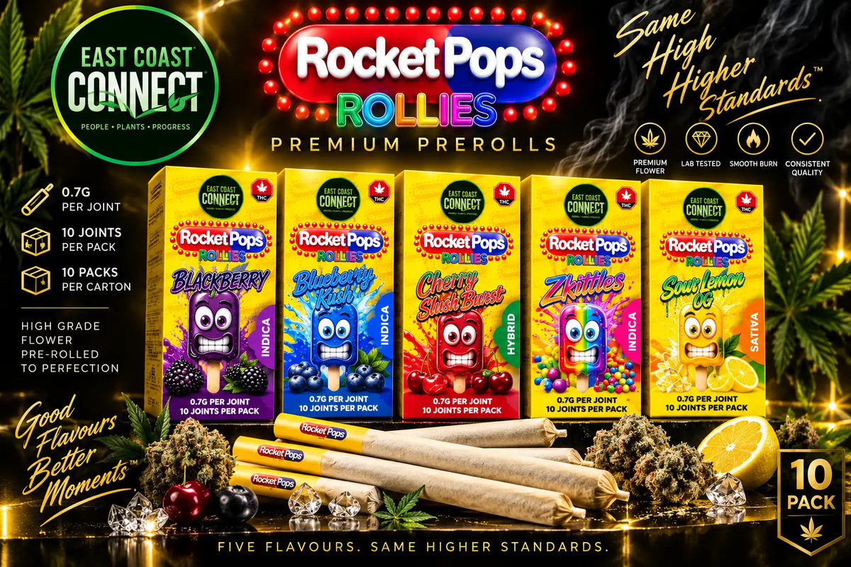 Rocket Pops Rollies Premium Pre-Rolls – 10 Pack | 0.7g Each