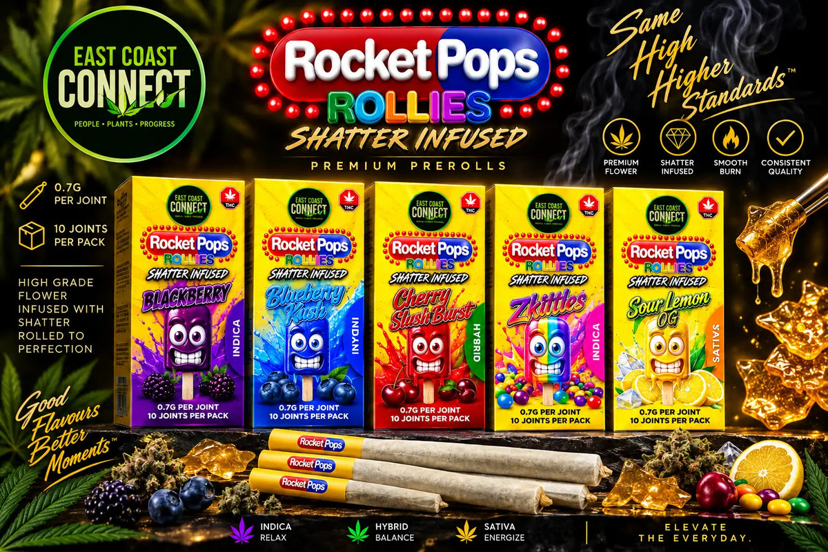 Rocket Pops Rollies Shatter Infused Pre-Rolls – 10 Pack | 0.7g Each