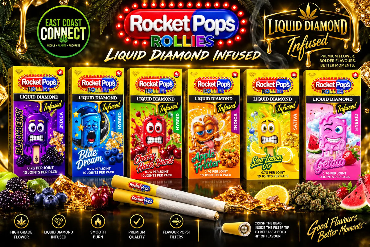 Rocket Pops Rollies Liquid Diamond Infused Pre-Rolls – 10 Pack | 0.7g Each