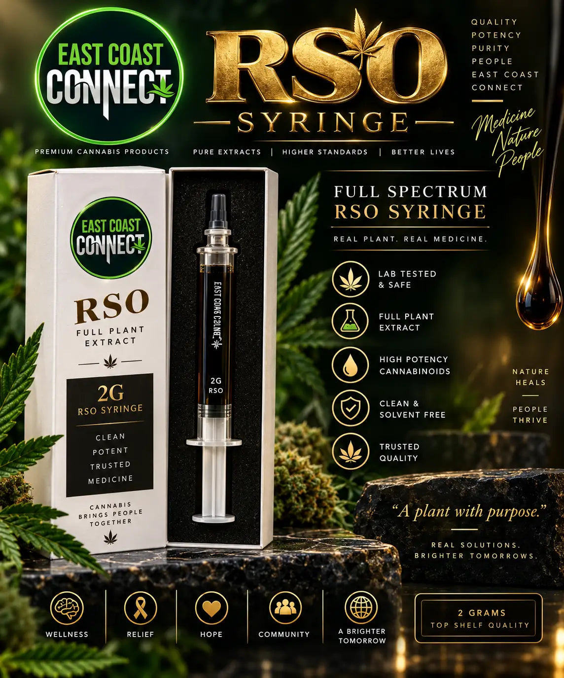 RSO Full Spectrum Extract Syringe – 2g